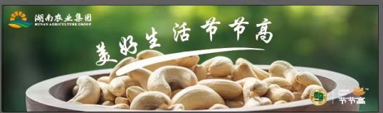 圖片11.png 圖片11.png